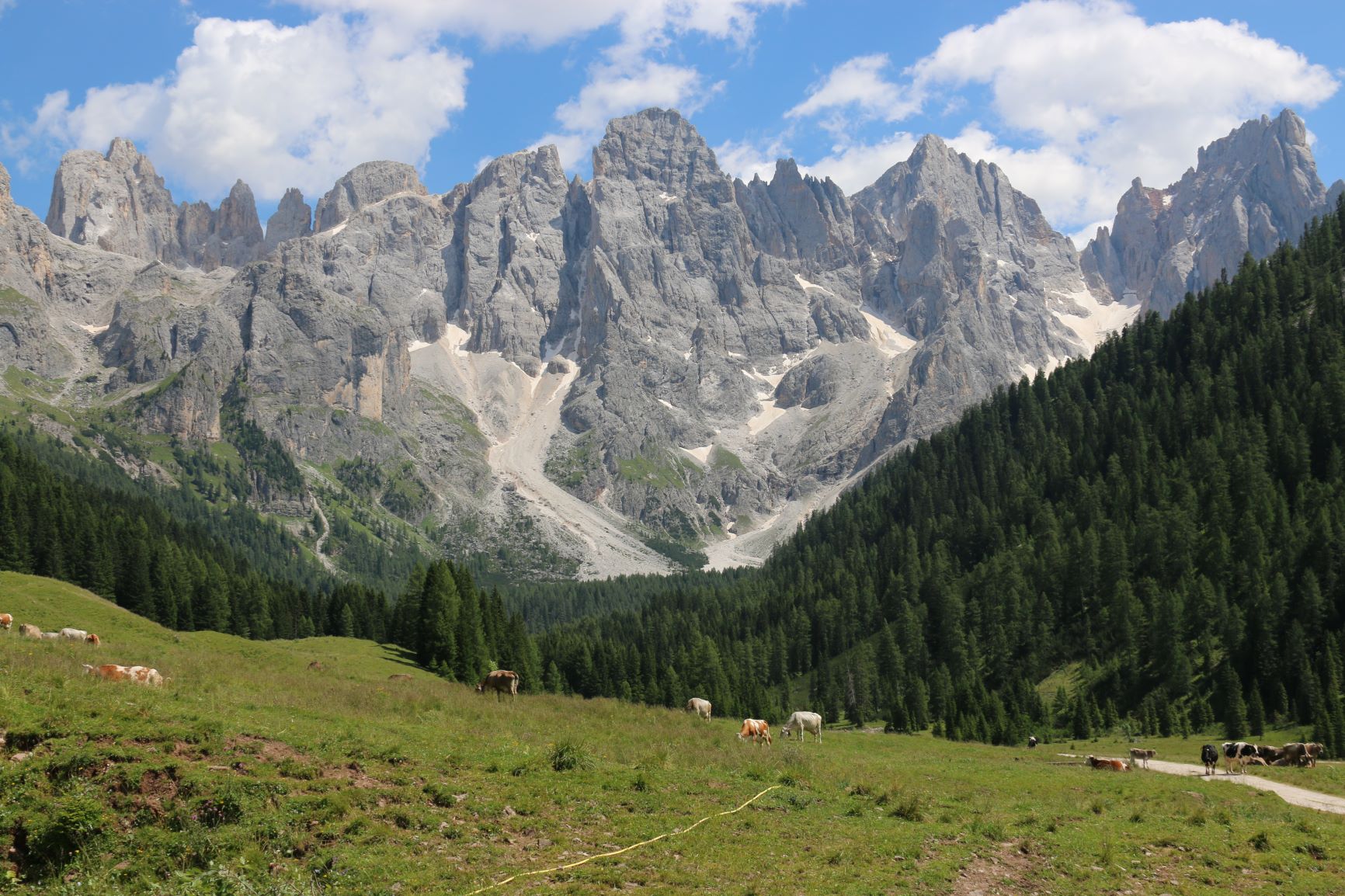 Veduta della Val Venegia