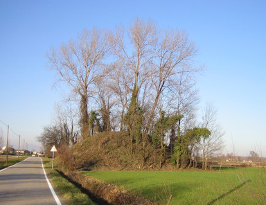 La motta Buffetto di Gardigiano